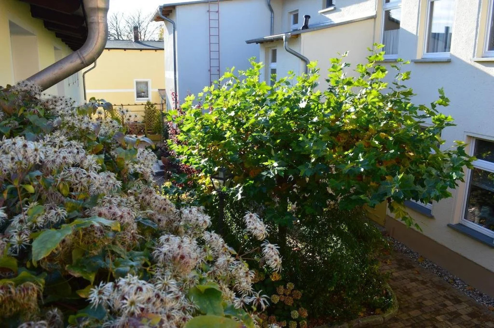 Pension und Gästehaus Grothe