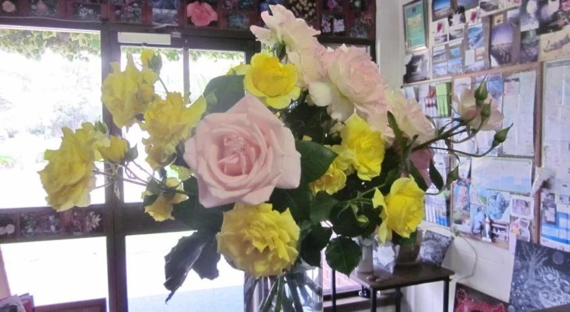 Lakes Waterfront Motel and Cottages