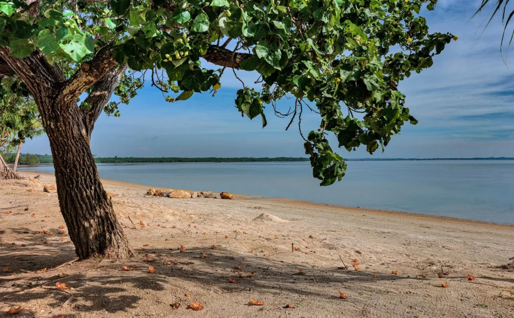 The Residence Bintan