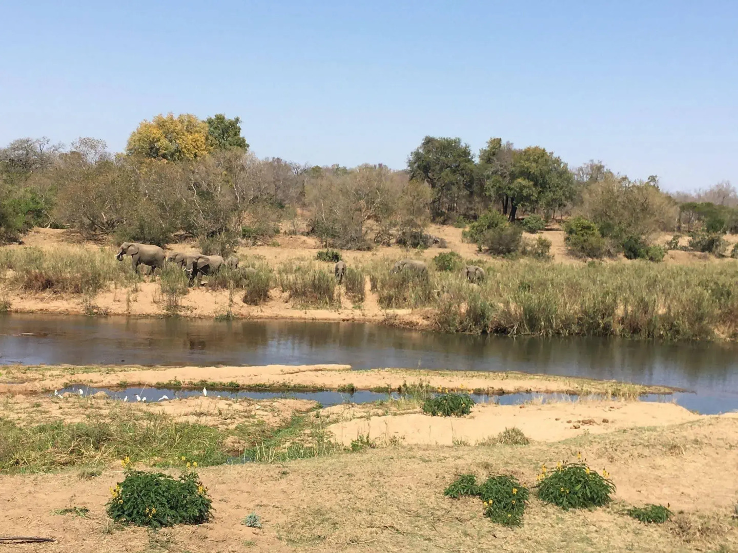 Sabie River Bush Lodge