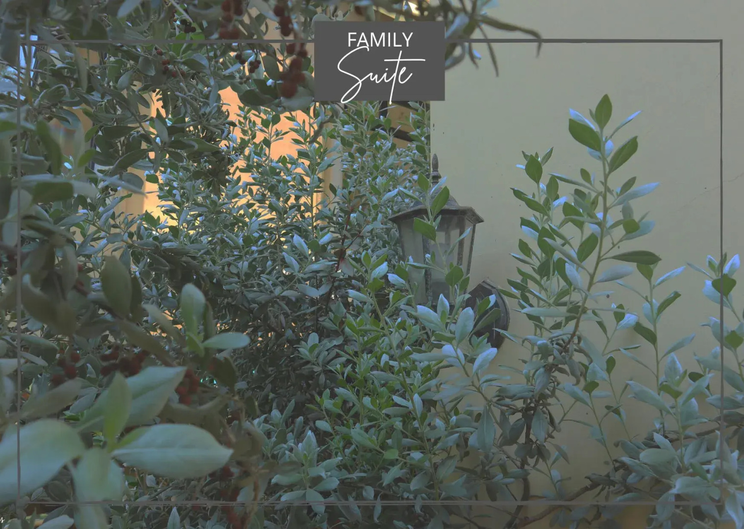 The Palms Resort & Bar