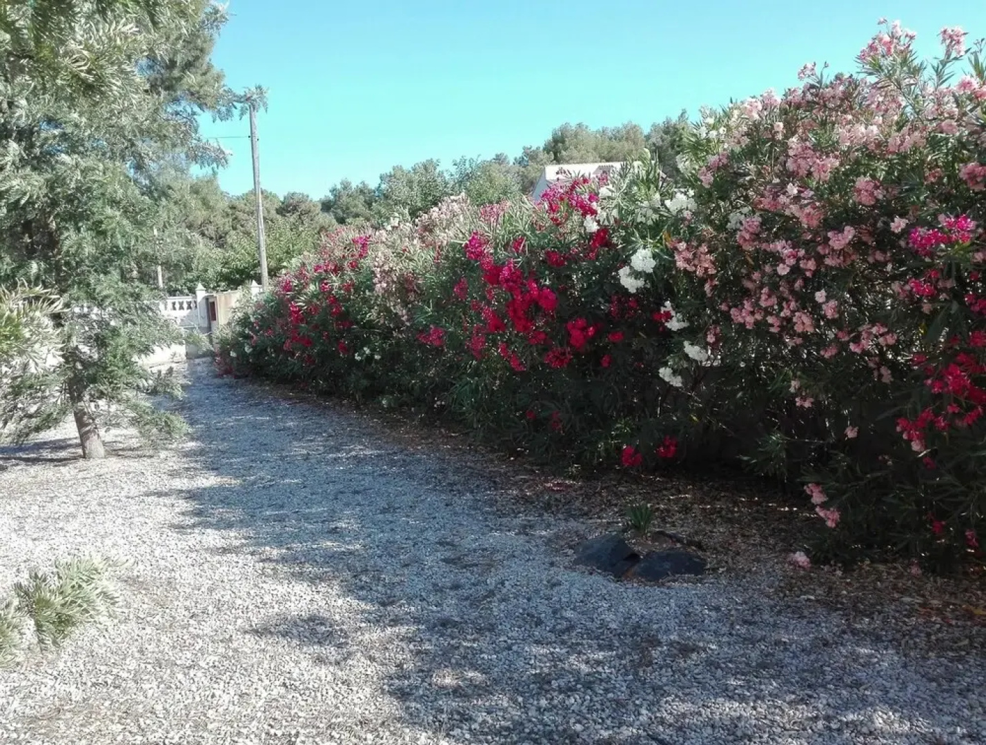 House With 3 Bedrooms in La Pobla Tornesa, With Wonderful Mountain View and Enclosed Garden - 20 km From the Beach