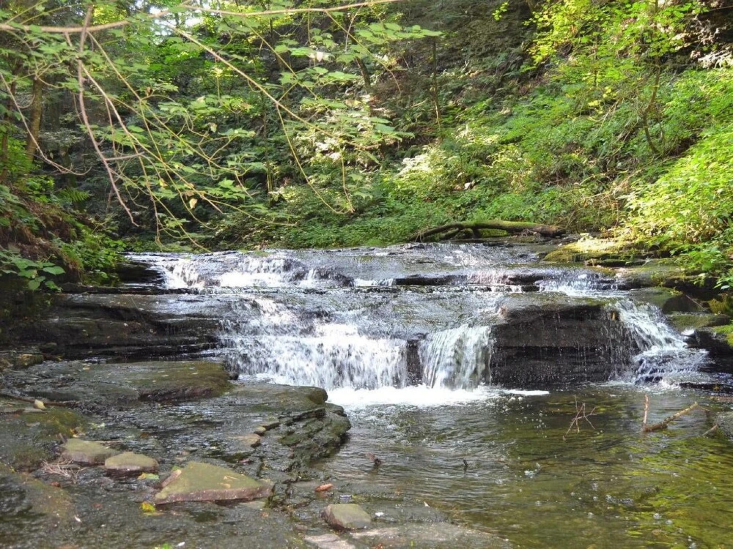 Tentrr - Hemlock Gorge Hideaway