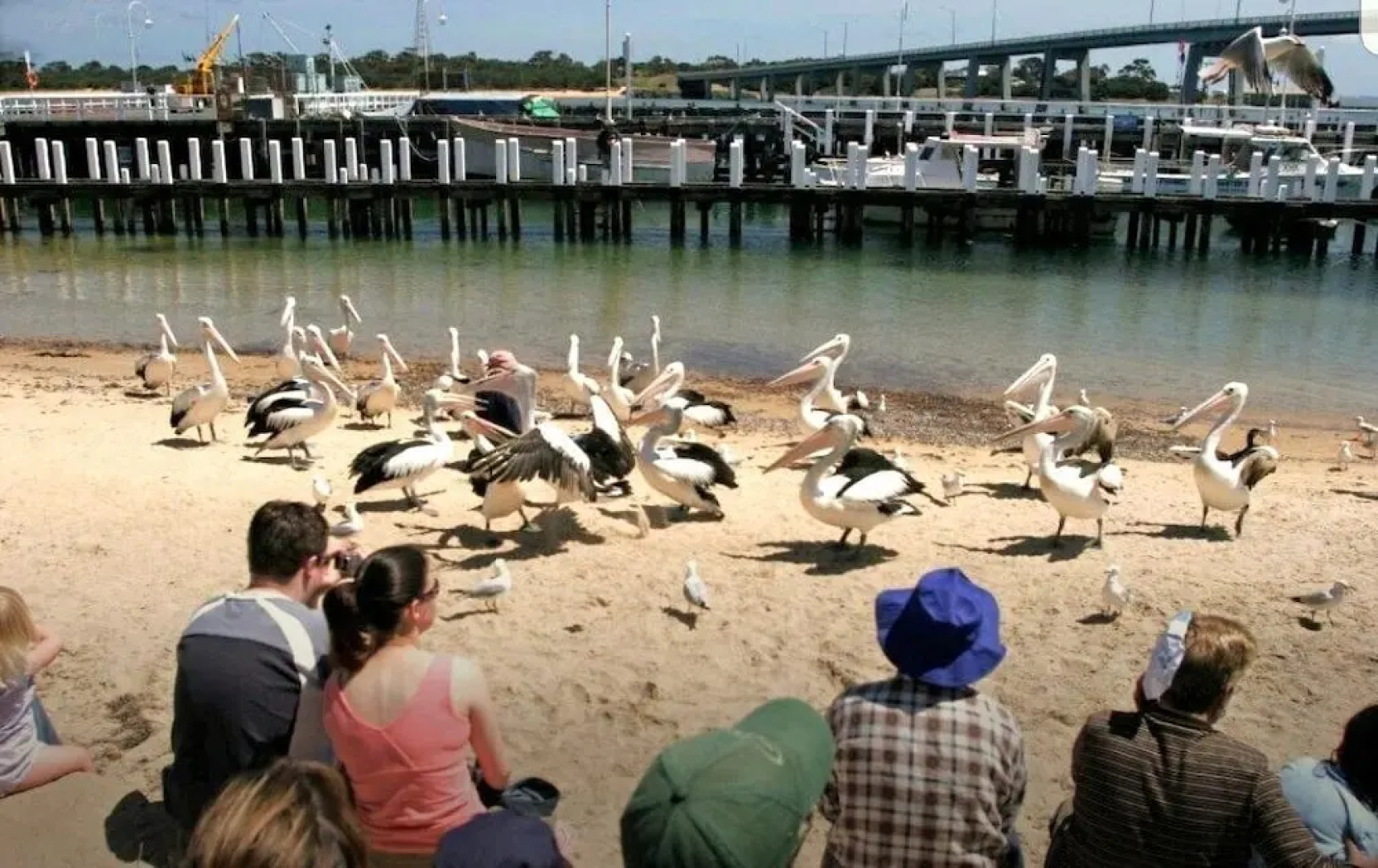 Apartment with views