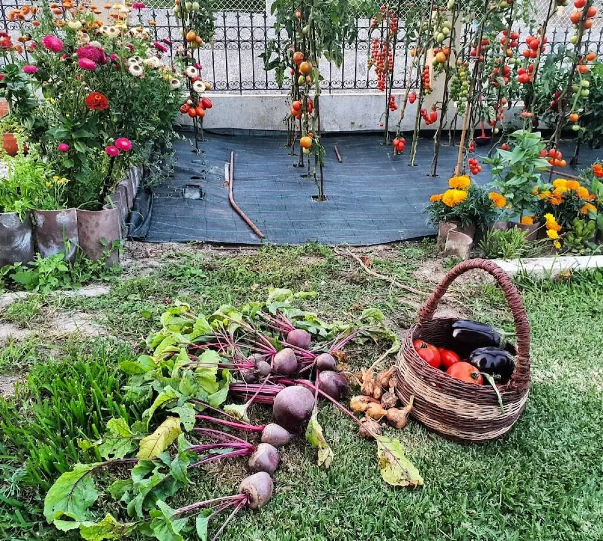 Apartamentos Ría de Aldán