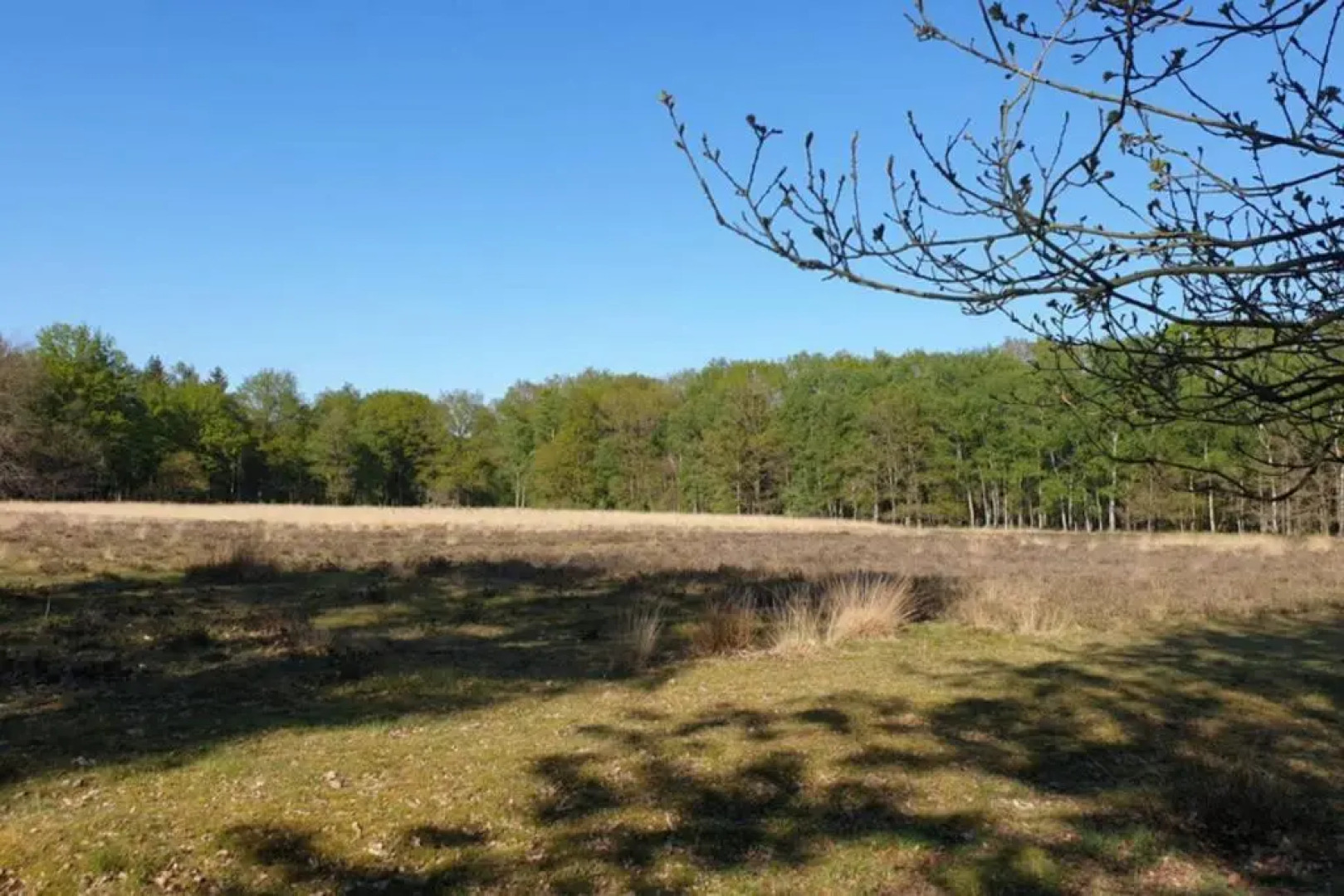 Drentse bungalow in natuur en rust