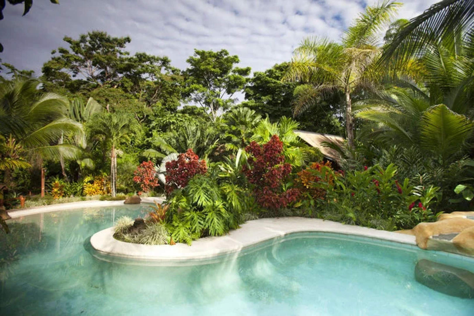 Azania Jungle House One or Two Bedroom with AC near the beach