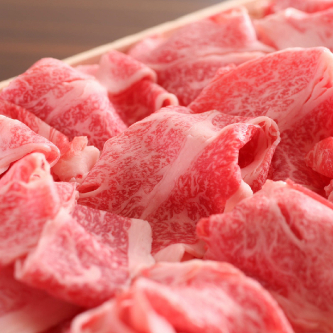 Hida Furukawa Speranza Hotel