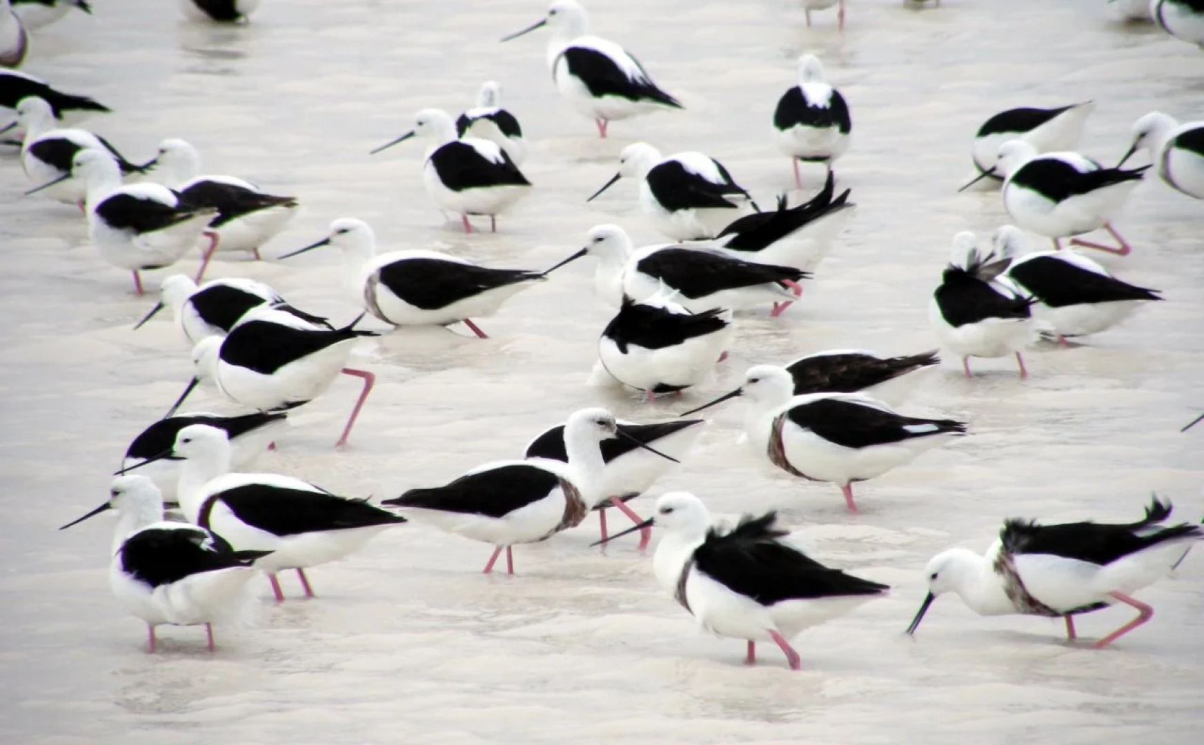 Coorong Waterfront Retreat