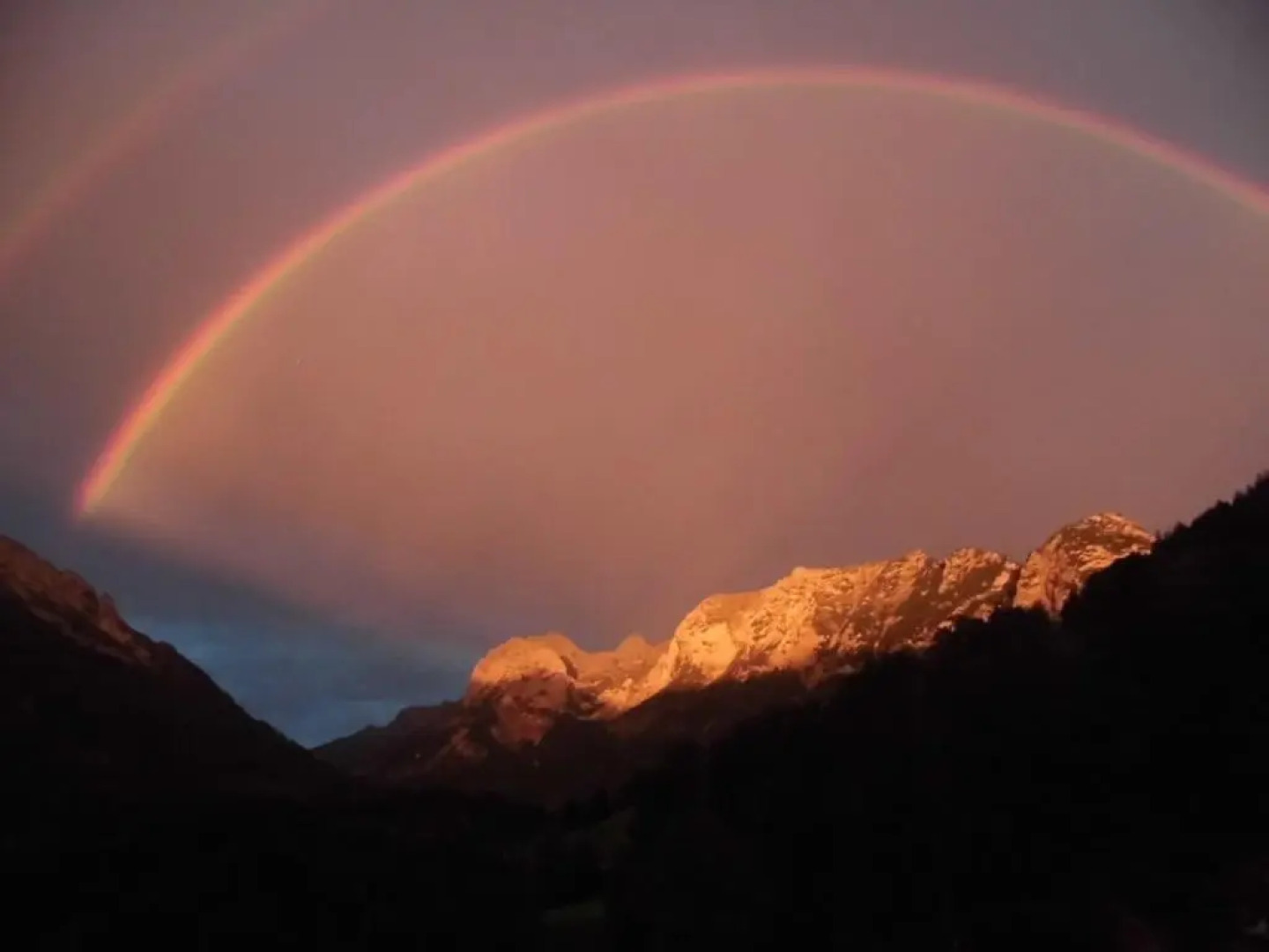 Haus Buchenwald Ferienwohnungen