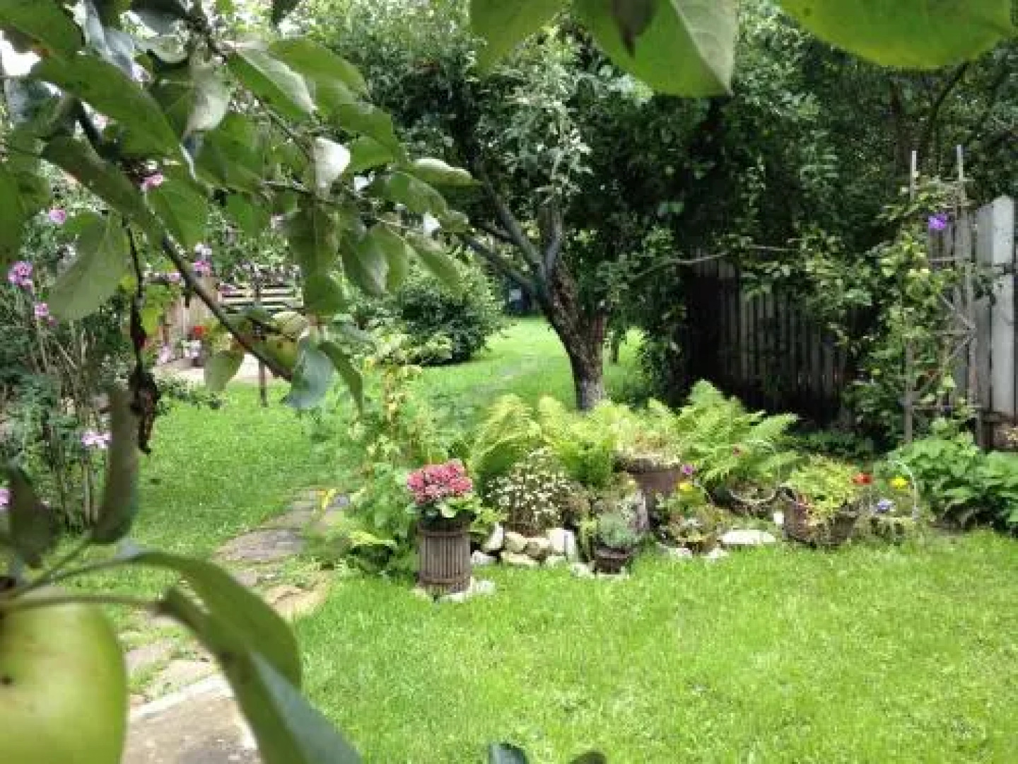 Pensiunea Casa Bianca Bucovina