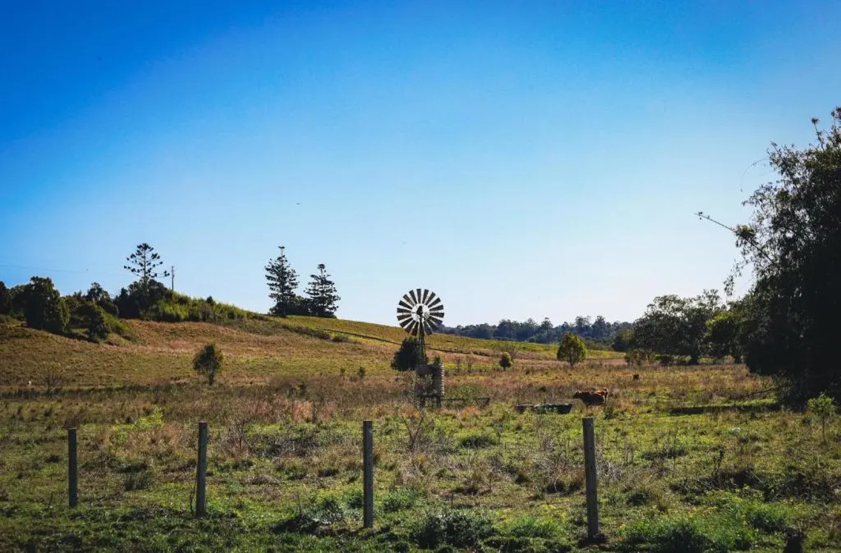 The Hinterland Hideout