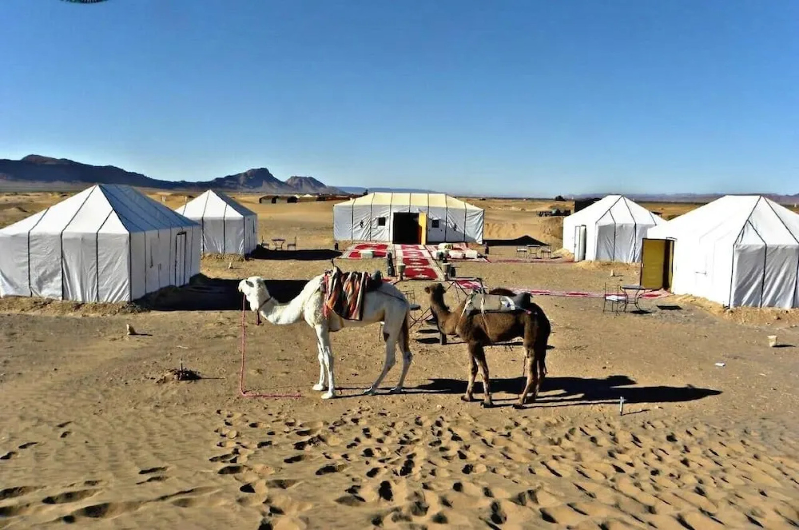 Zagora luxury camp
