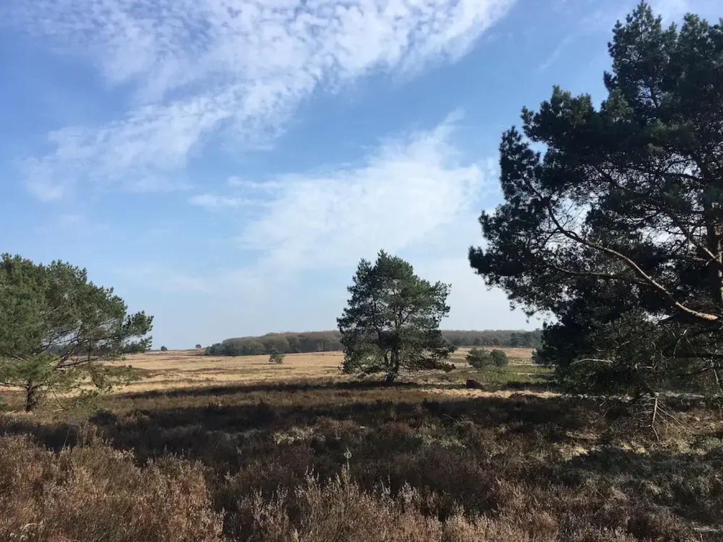 Hotel De Werelt Garderen