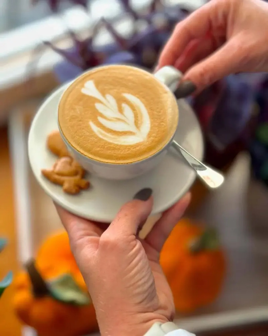 Penzion Tlustá kachna