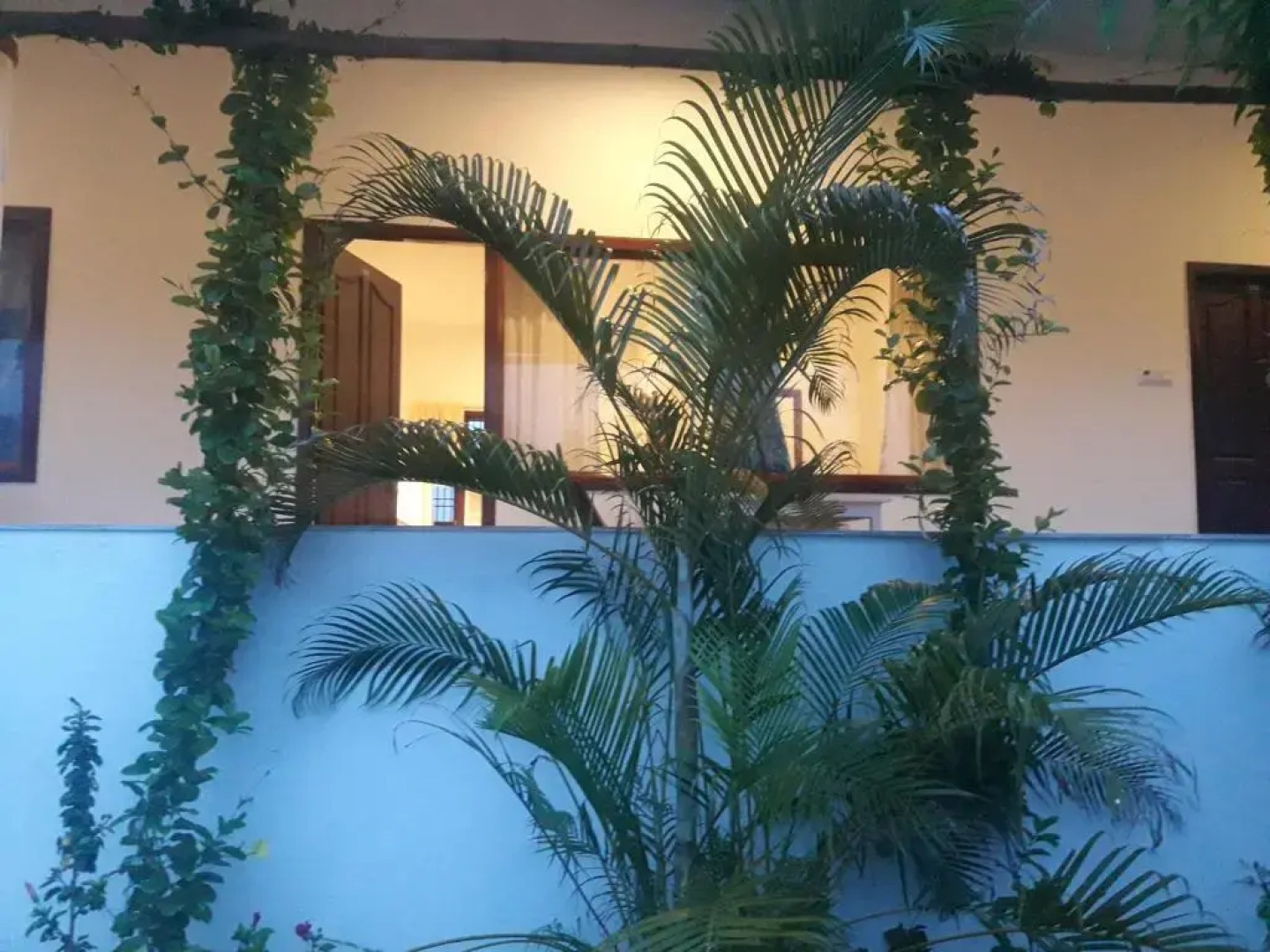 Alice Paradise by Moonrakers