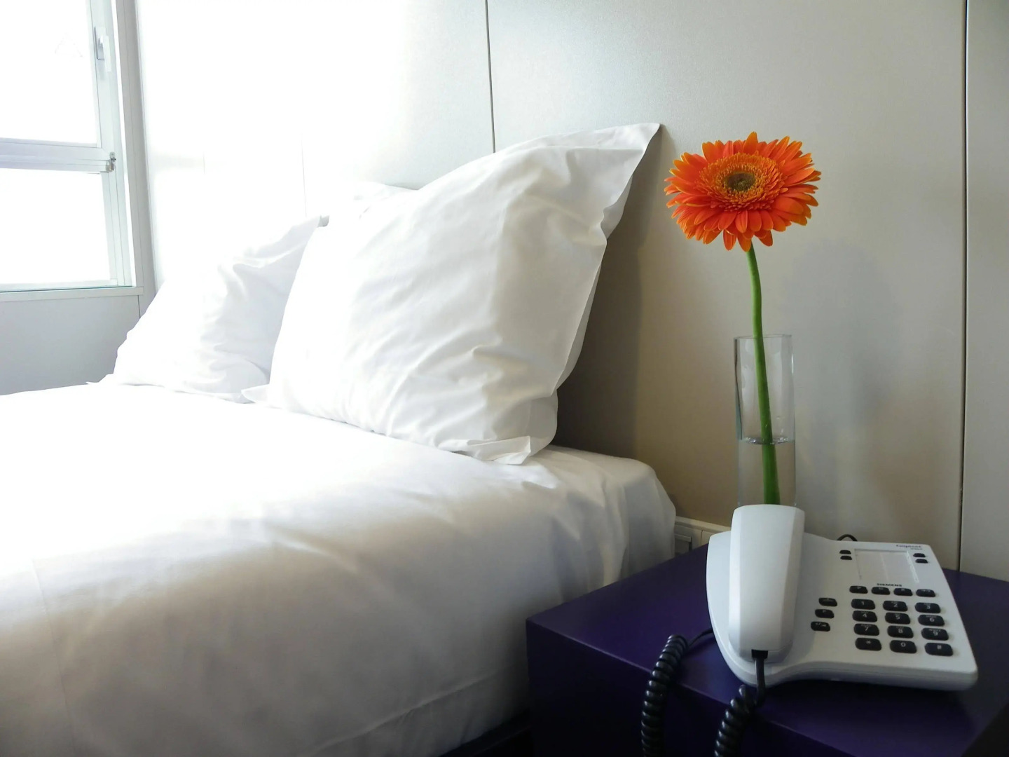 Herculano Stays Porto