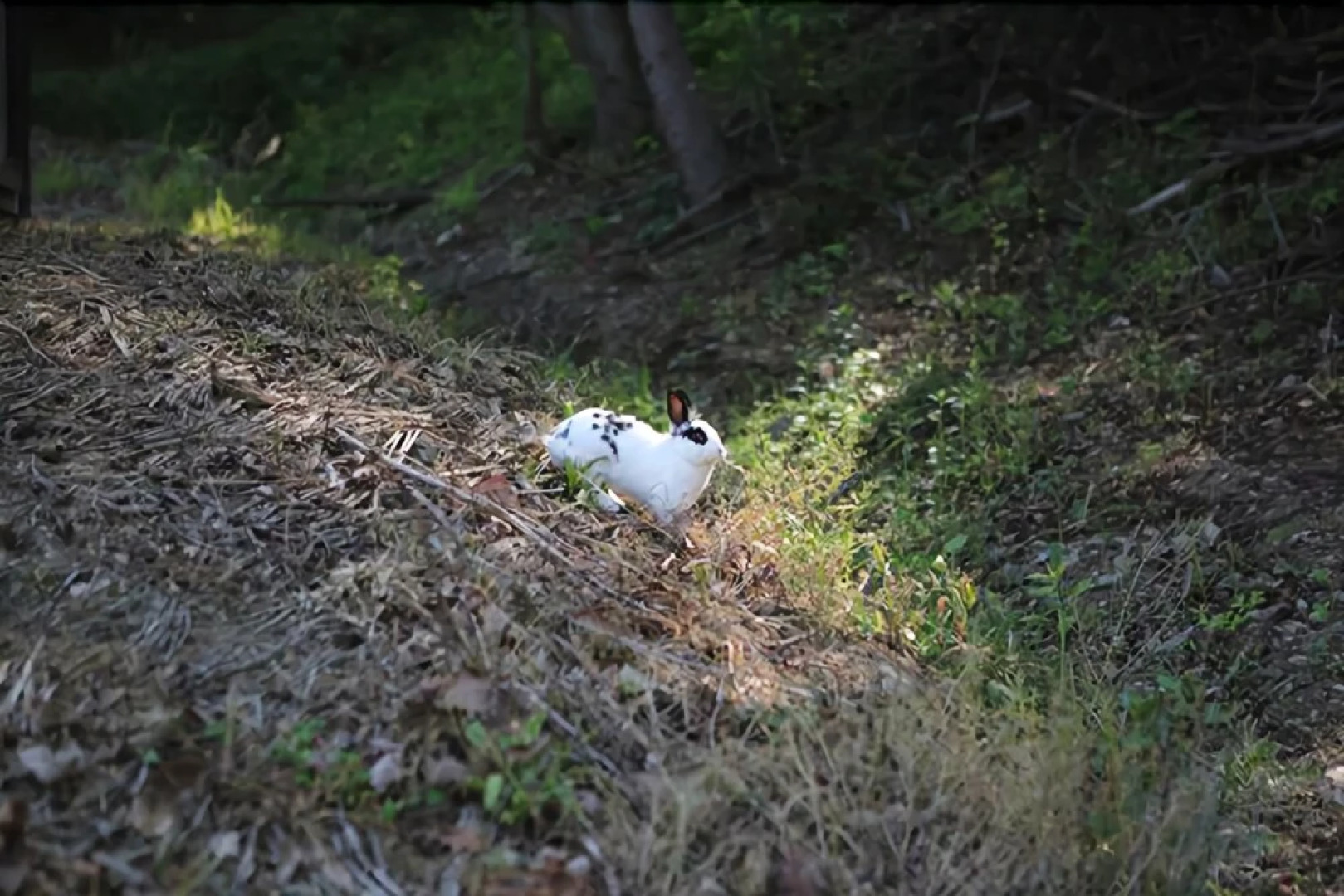 Yangpyeong Morningcam16 Pension