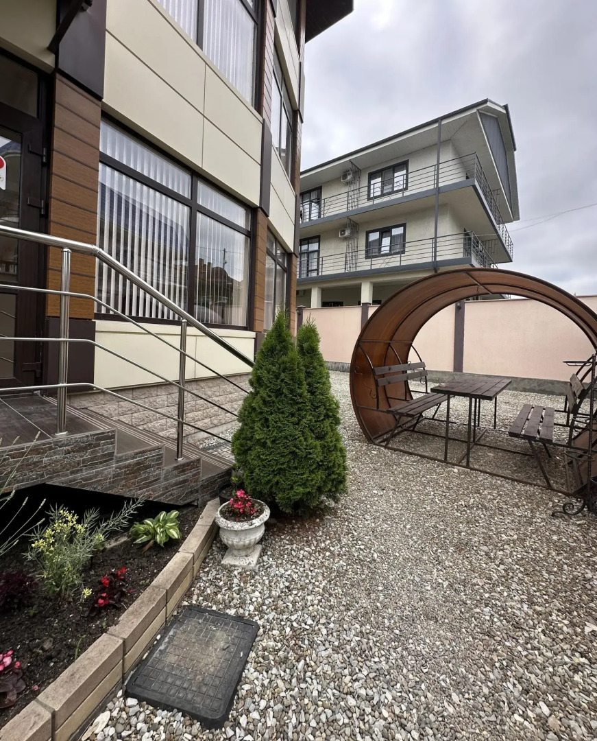 Золотой абрикос