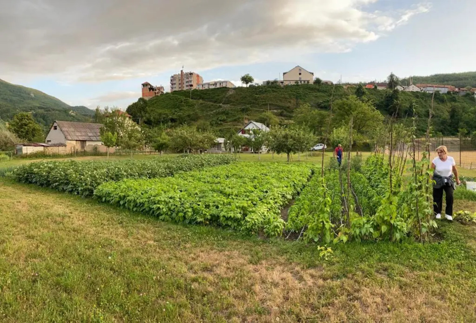 Household Nikolic - Andrijevica, Montenegro