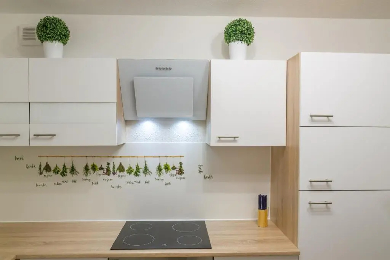 Ruhiges und zentral gelegenes Apartment