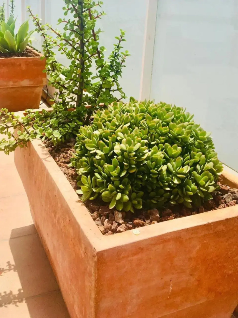 Penthouse La Paz 9 - Castle view