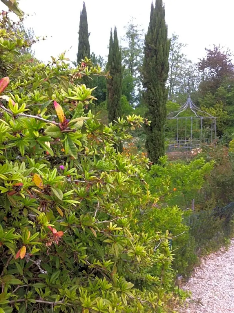 Chambre dHôtes Dyrslot