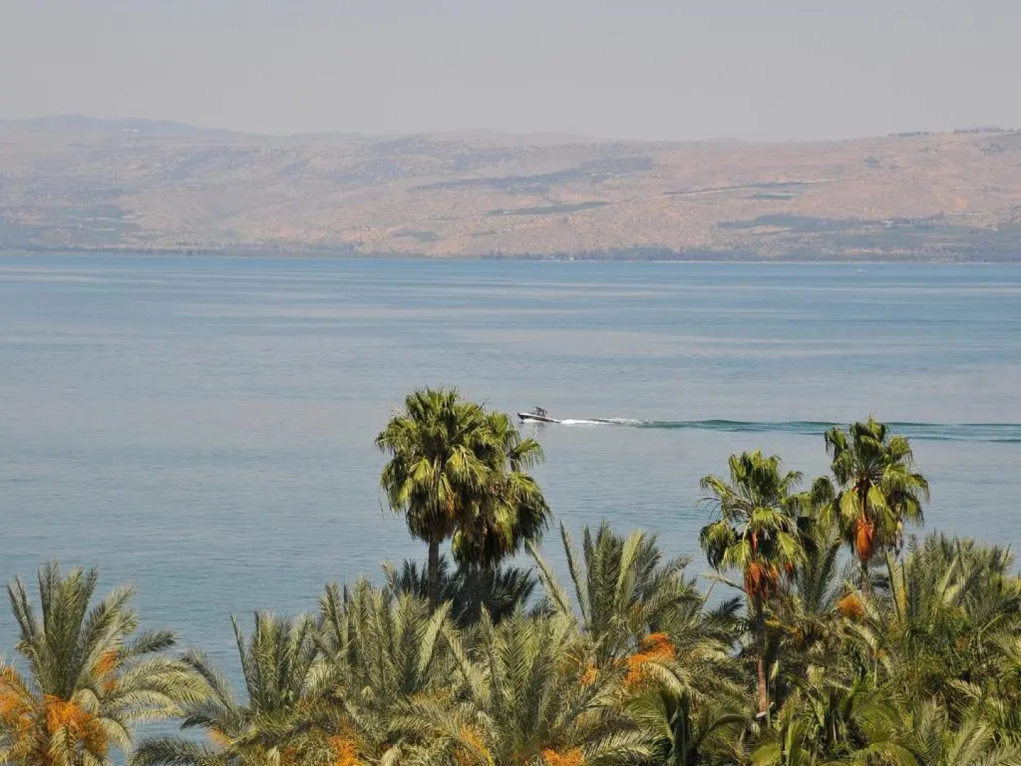 Family Vacation by Lake Kinneret