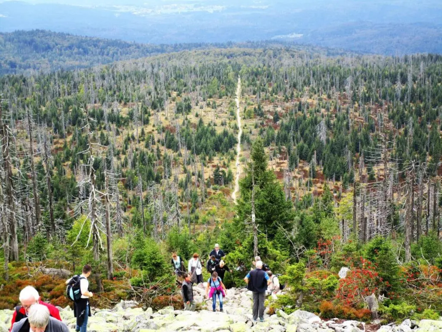 "kleines jagdhaus"- Hüttenurlaub in Bayern