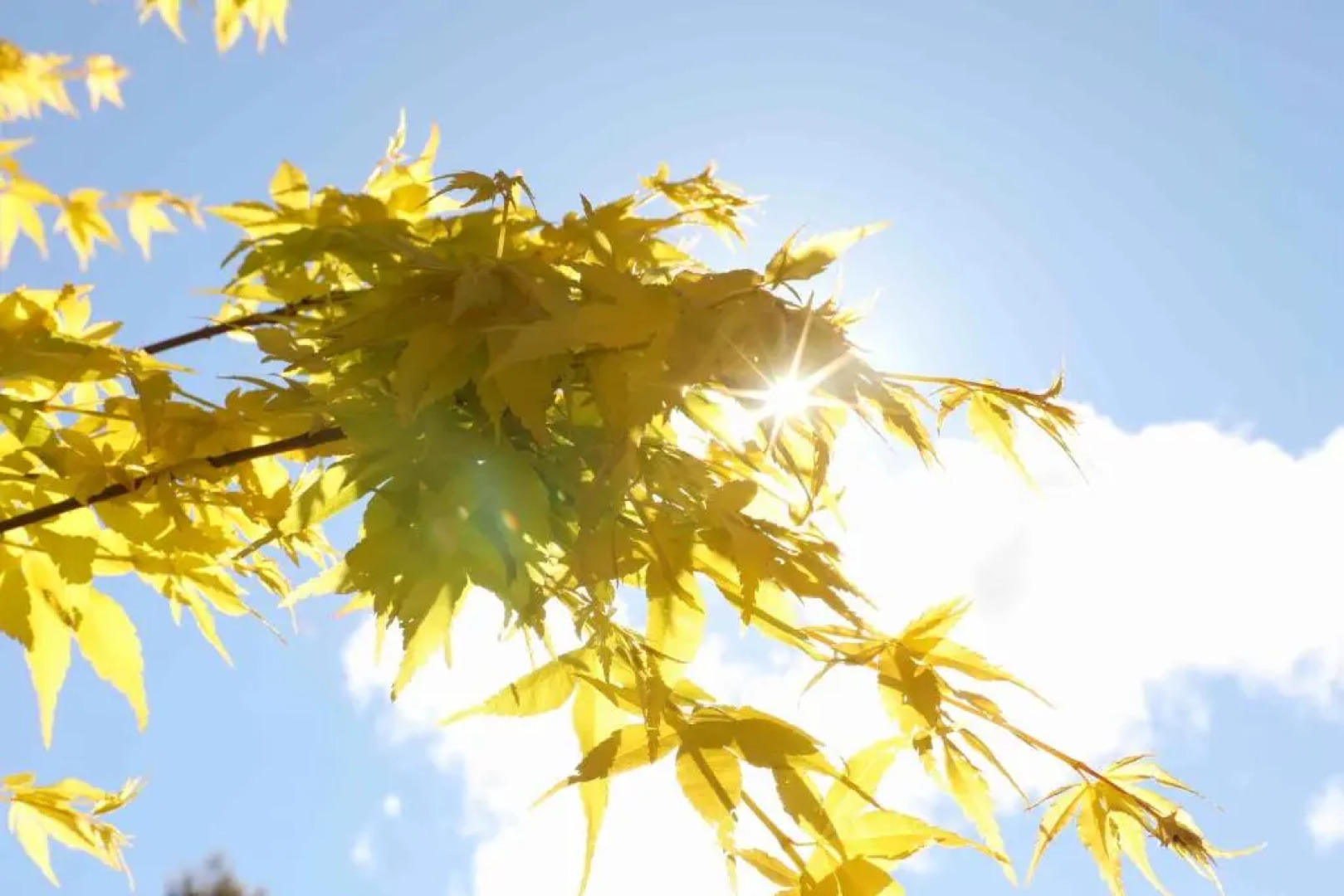 Somersal Bed & Breakfast