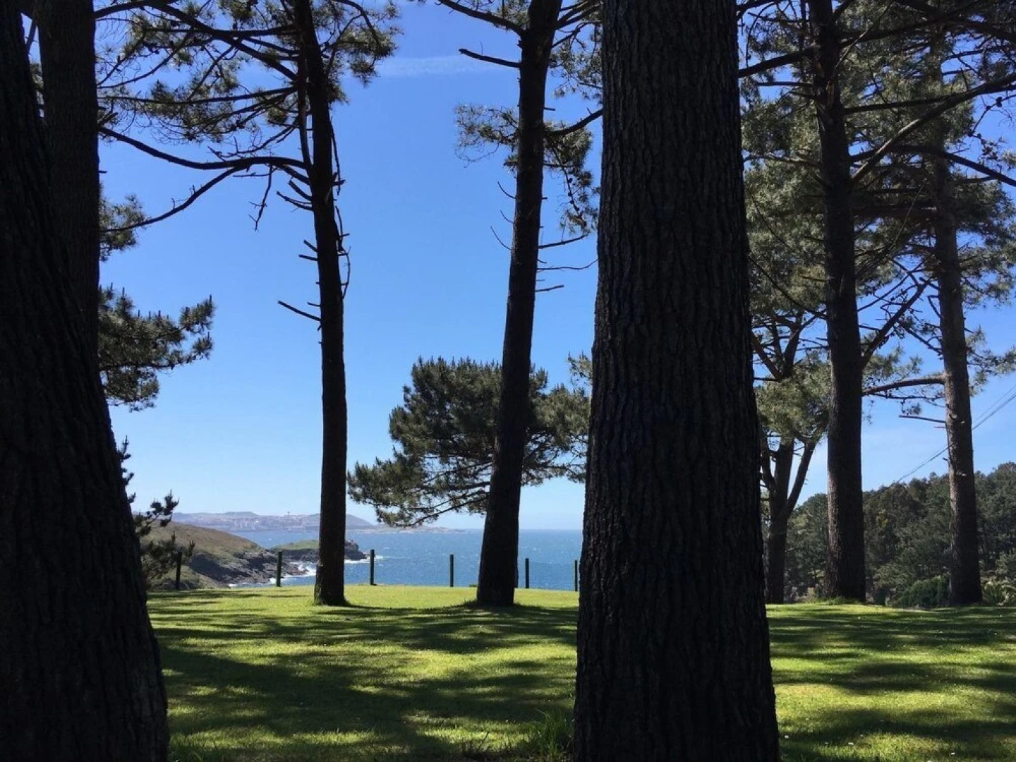 Apartamentos Canabal