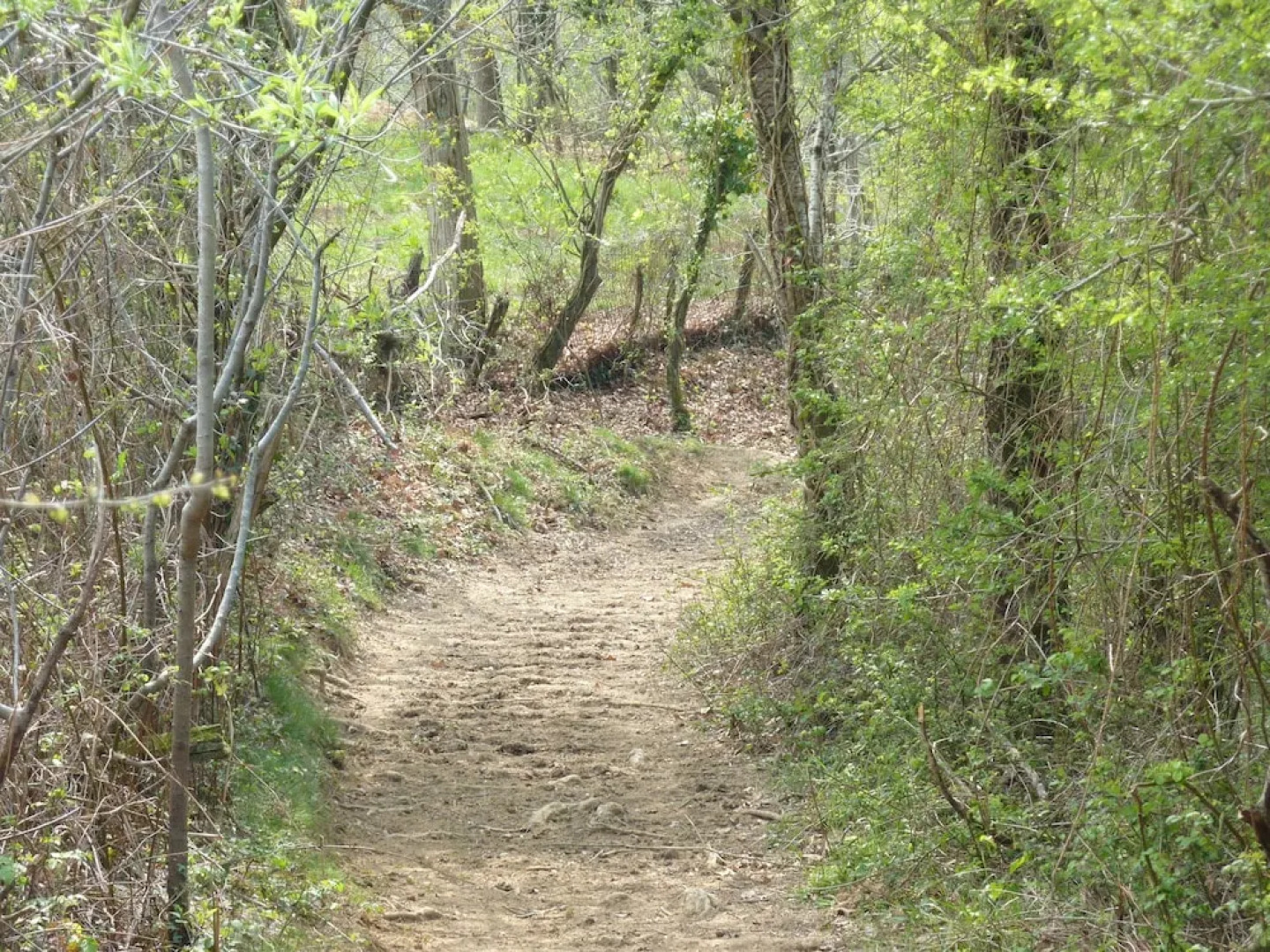 Chambres d'Hôtes Ttakoinenborda