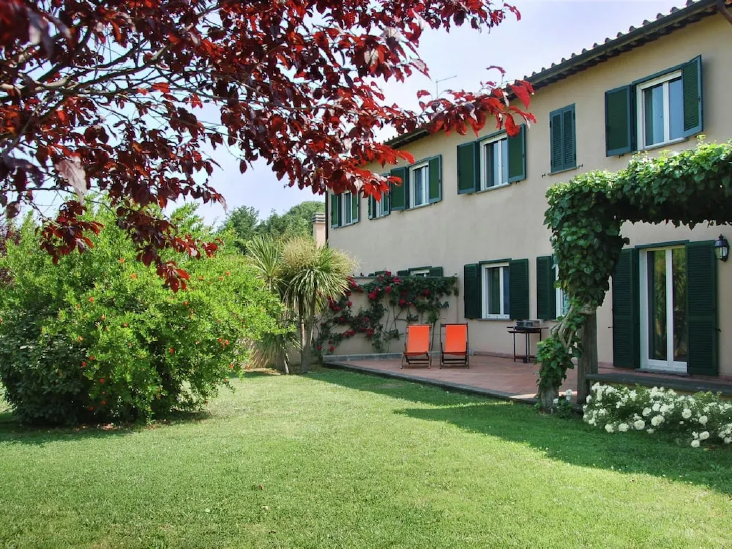 Villa in Lazio With Pool and Vineyards