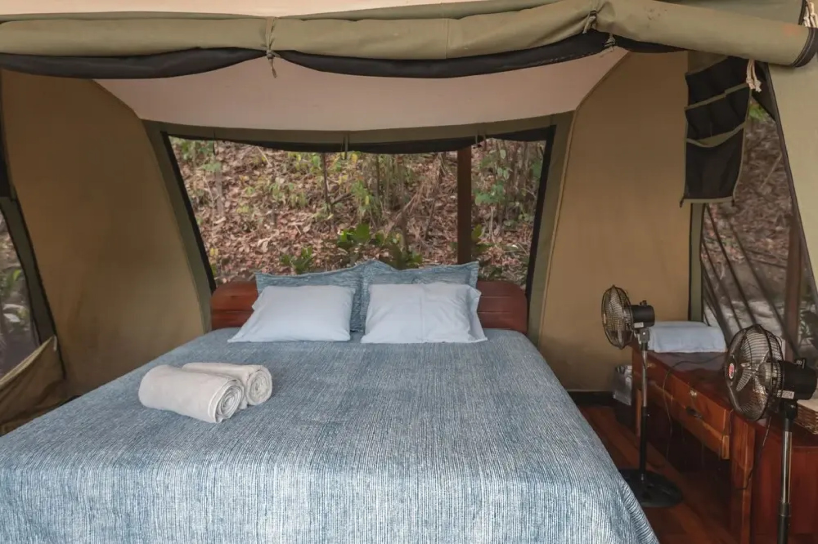 Los Vivos Beachfront Experience