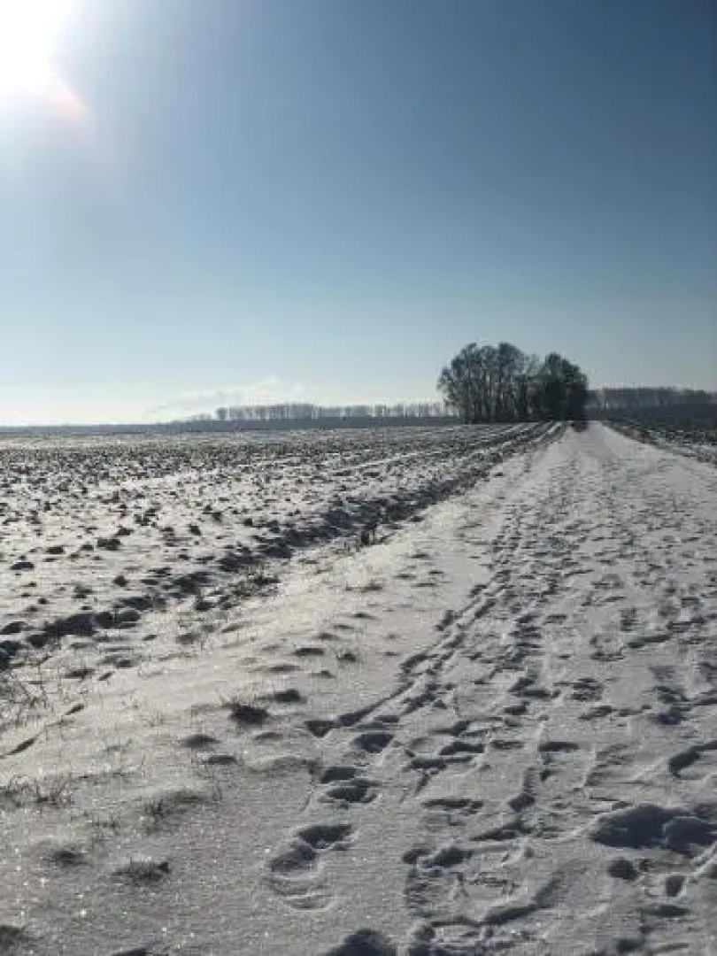 Hotel Restaurant Krone