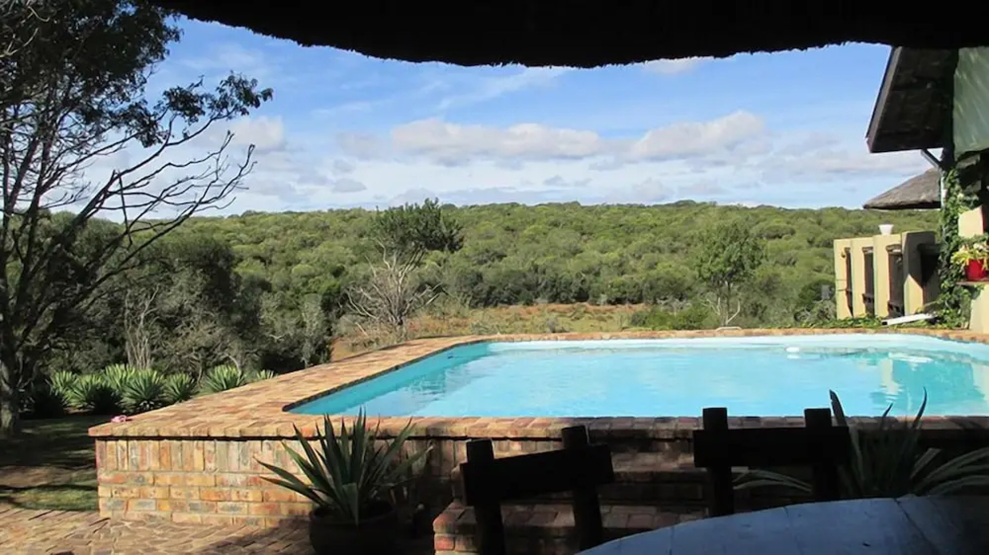 Aloe and Elephant Lodge