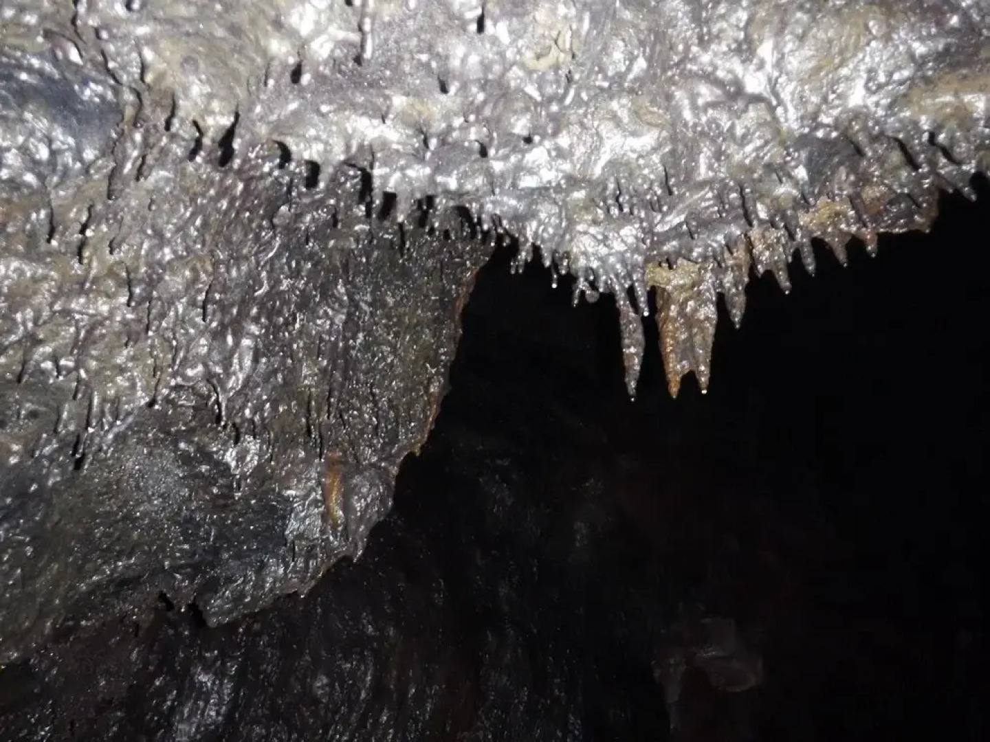 Aloha Crater Lodge and Lava Tube