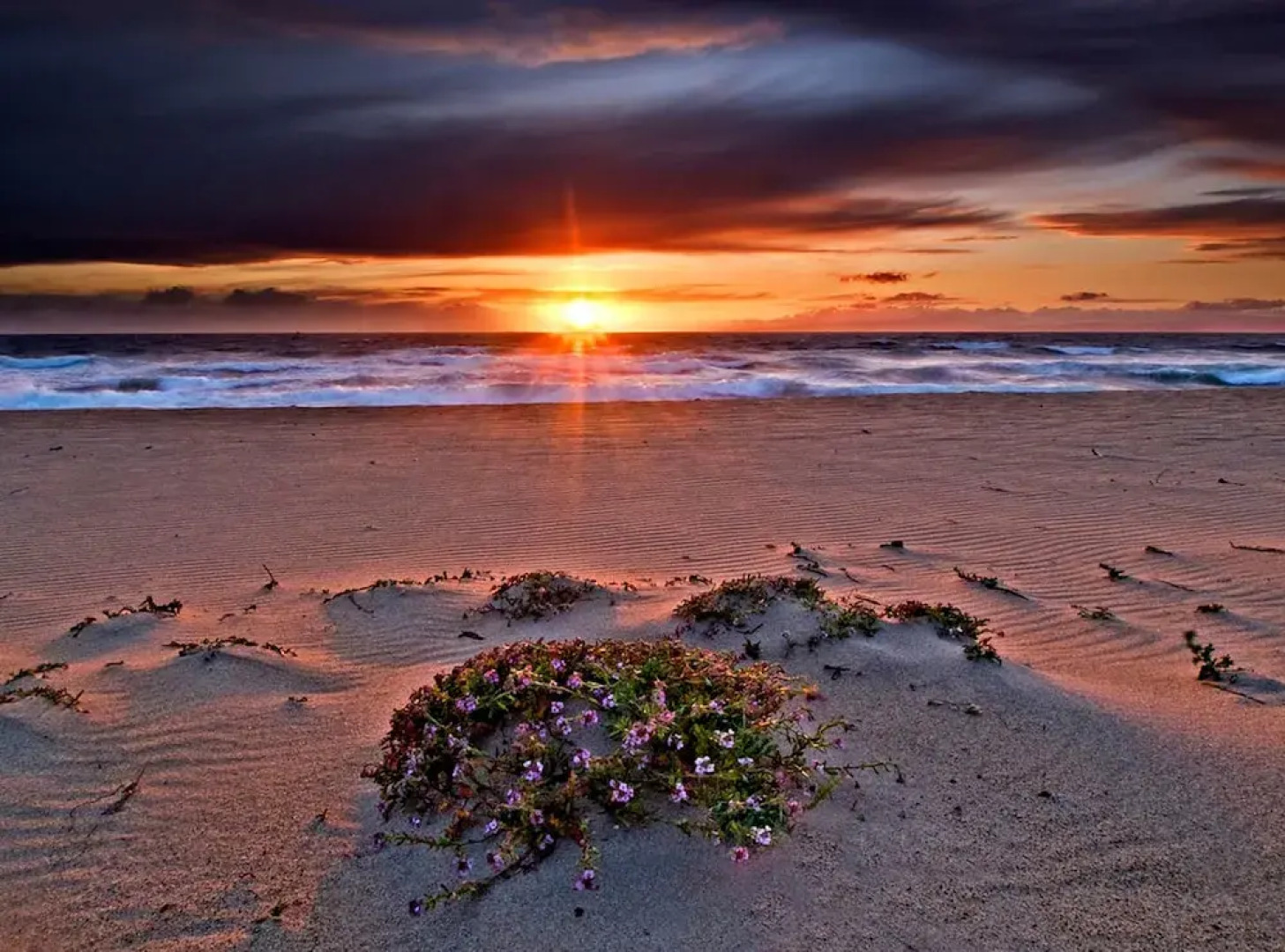 3733 Seaside Retreat