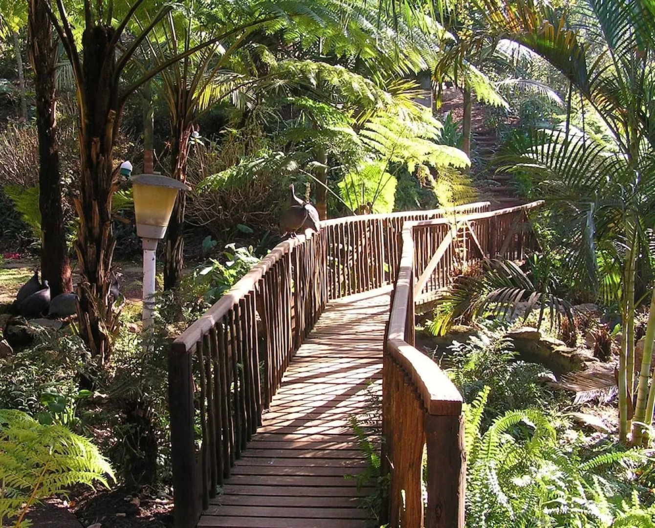Eden Guest House