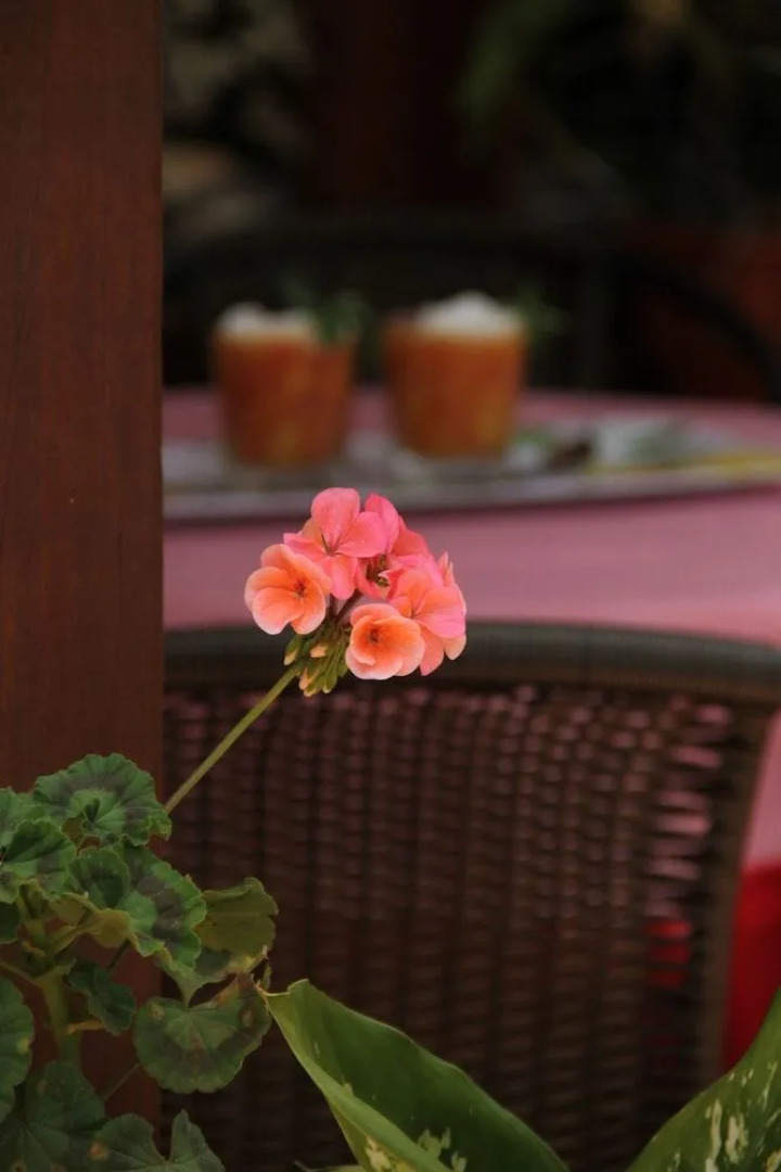 Posada Colonia San Miguel