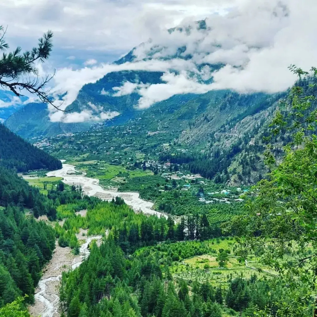 Apple Orchard Farm and Camping