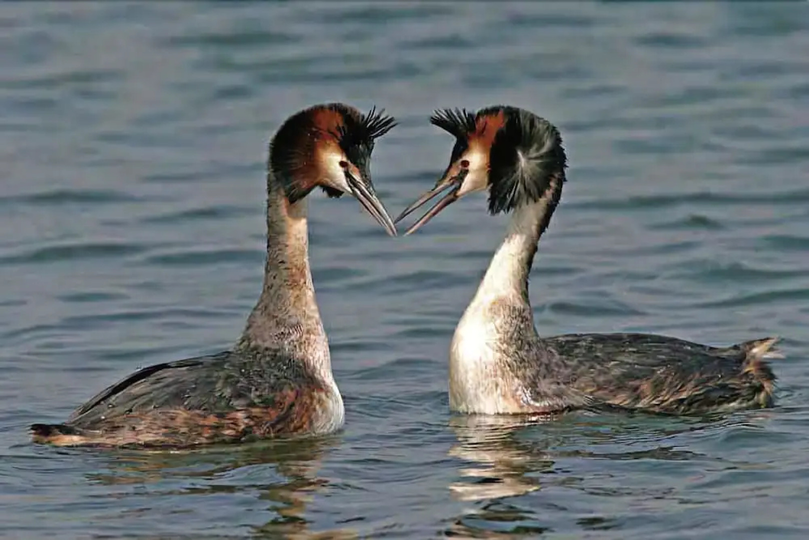 Antica Dimora Stucky