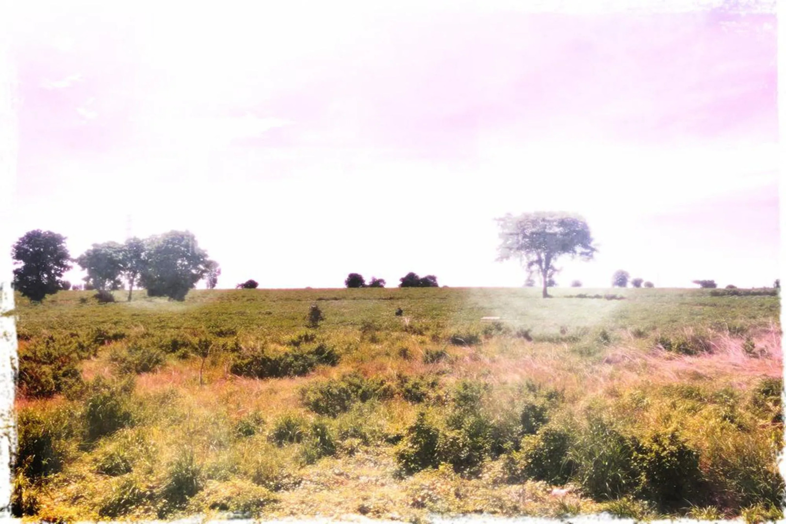 Thorfun Guesthouse in the Garden