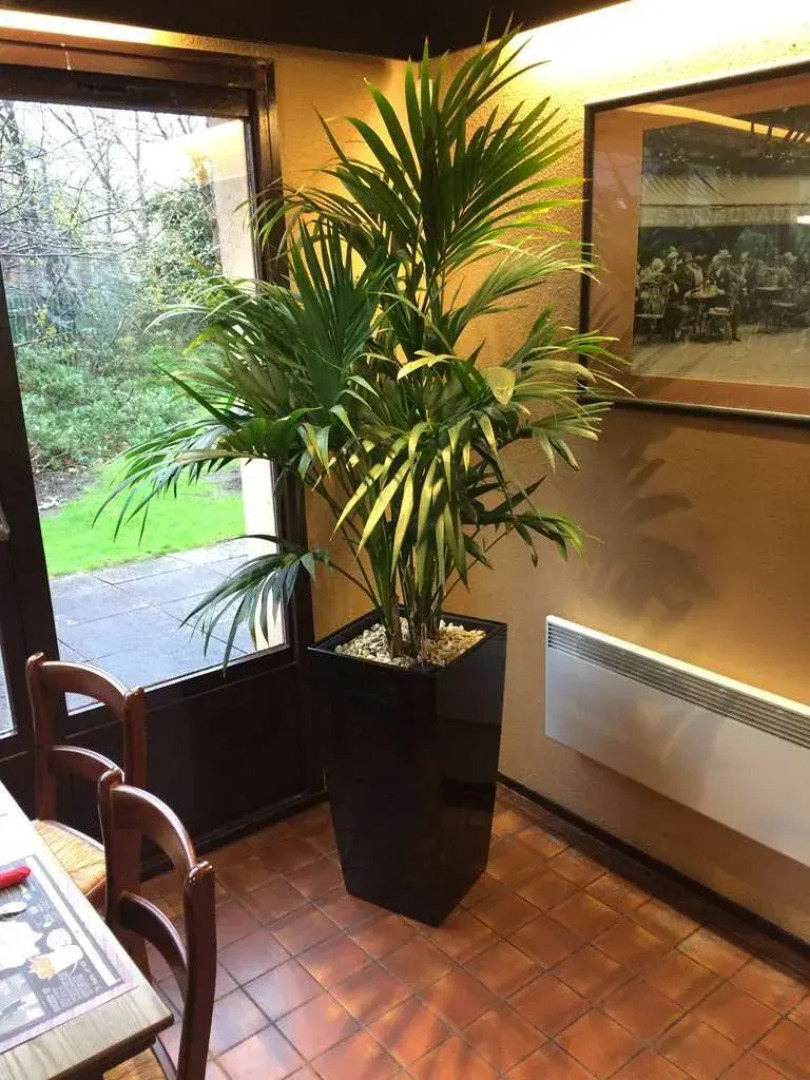 Campanile Hotel Hull