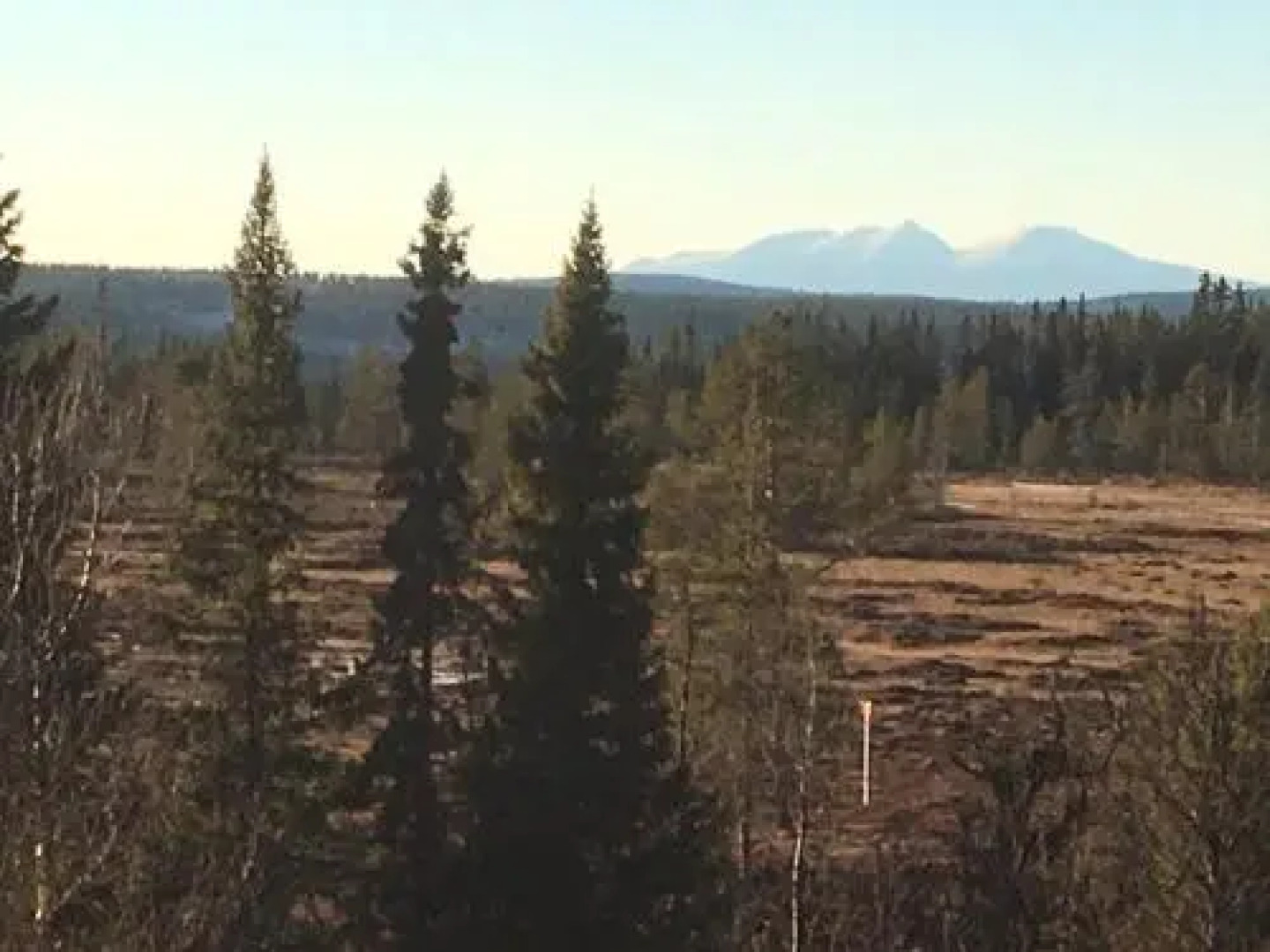 Lövåsgårdens Fjällhotell