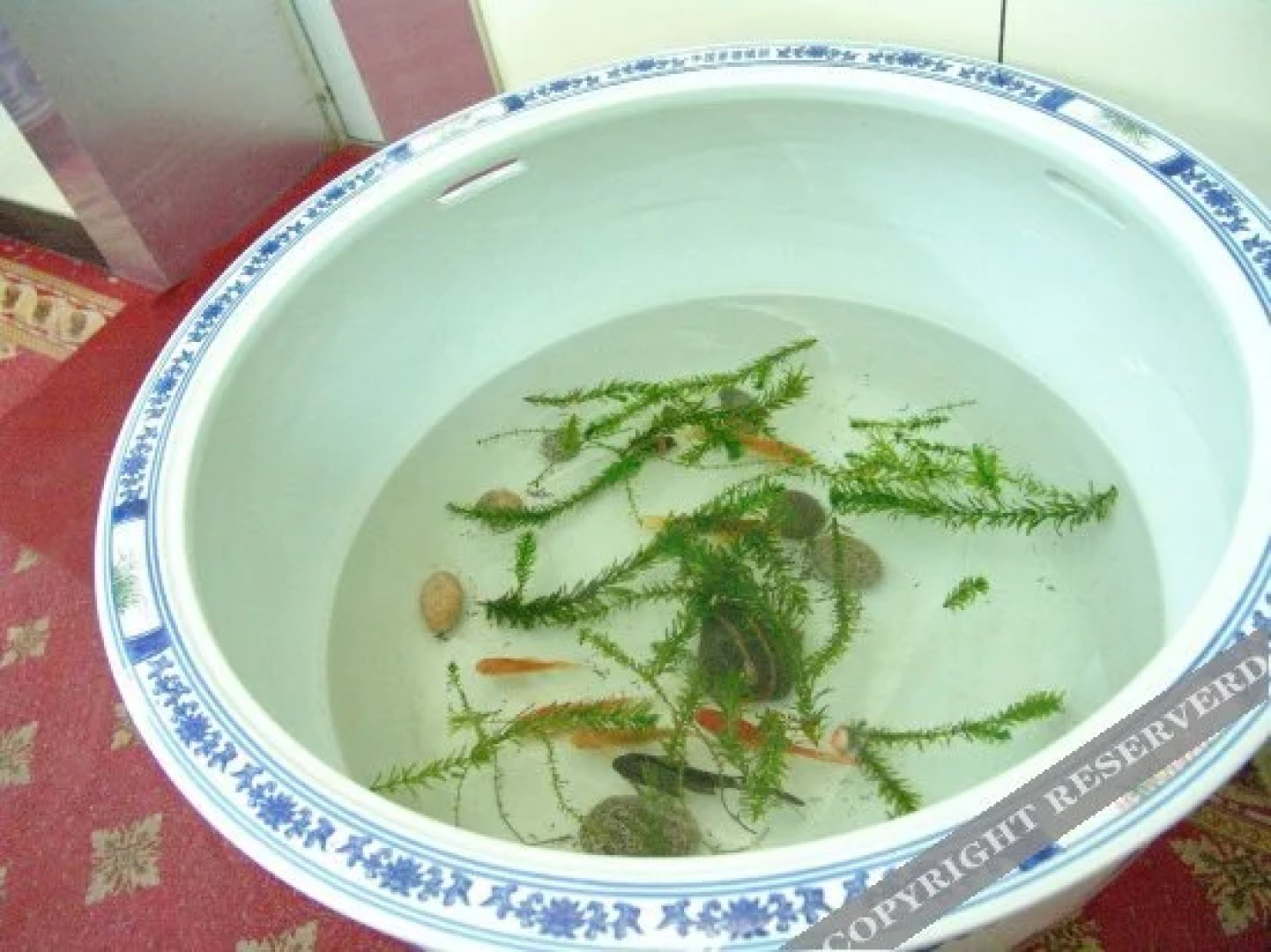 Meibocheng Business Hotel