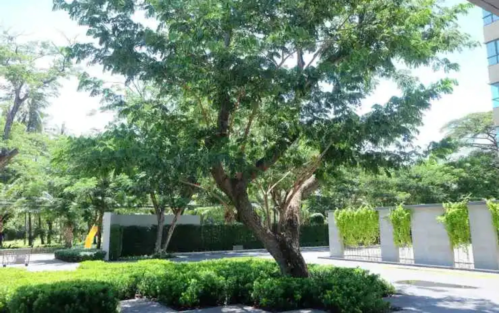 Rain Chaam Huahin by Jan Pool view เรน  หัวหิน WFH