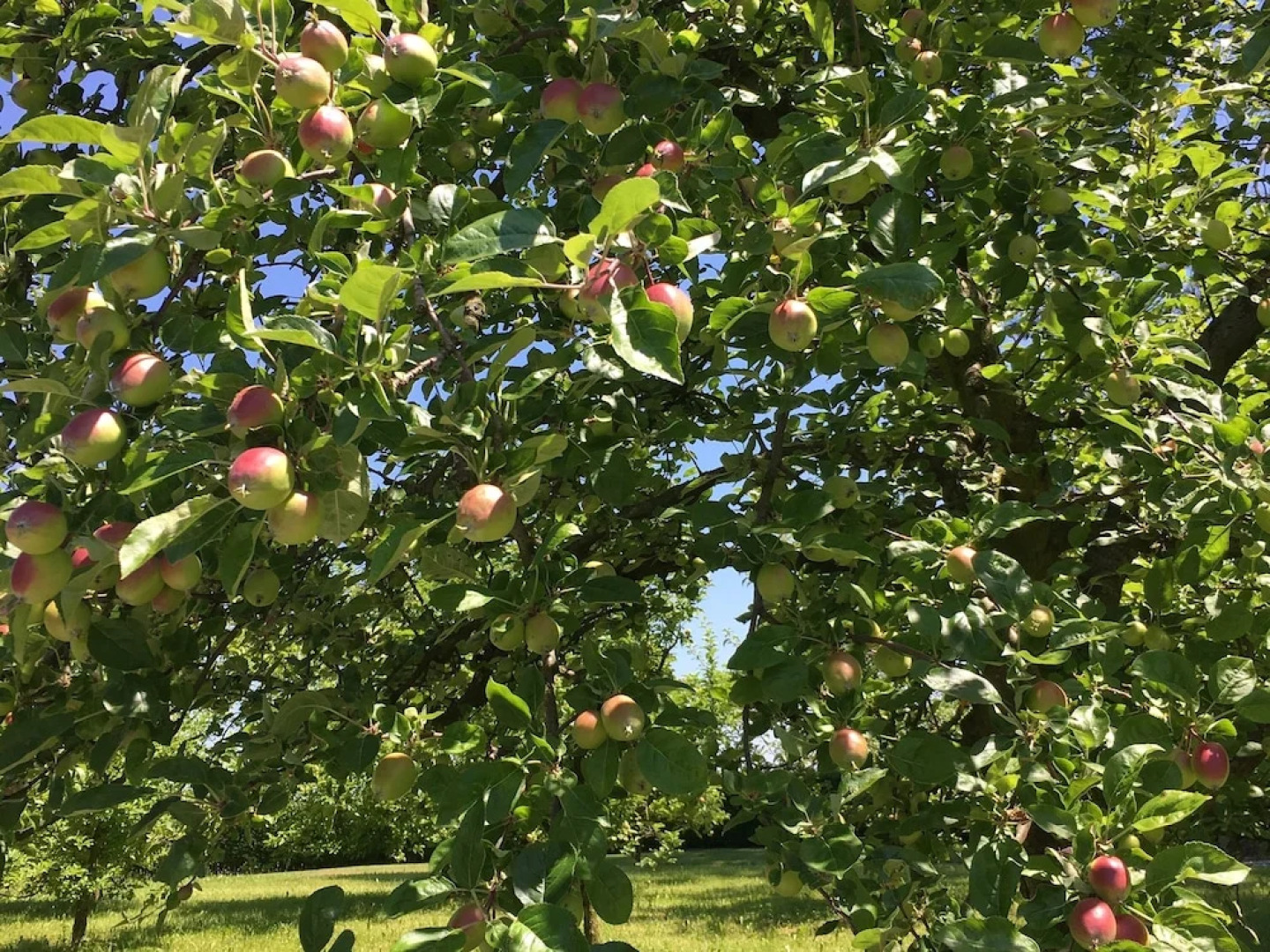 Bildungszentrum Burgbühl