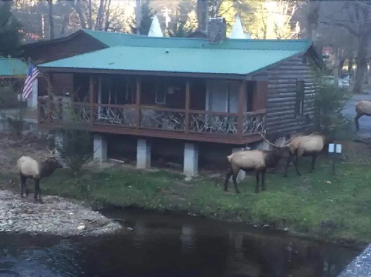 Qualla Cabins and Motel Cherokee near Casino