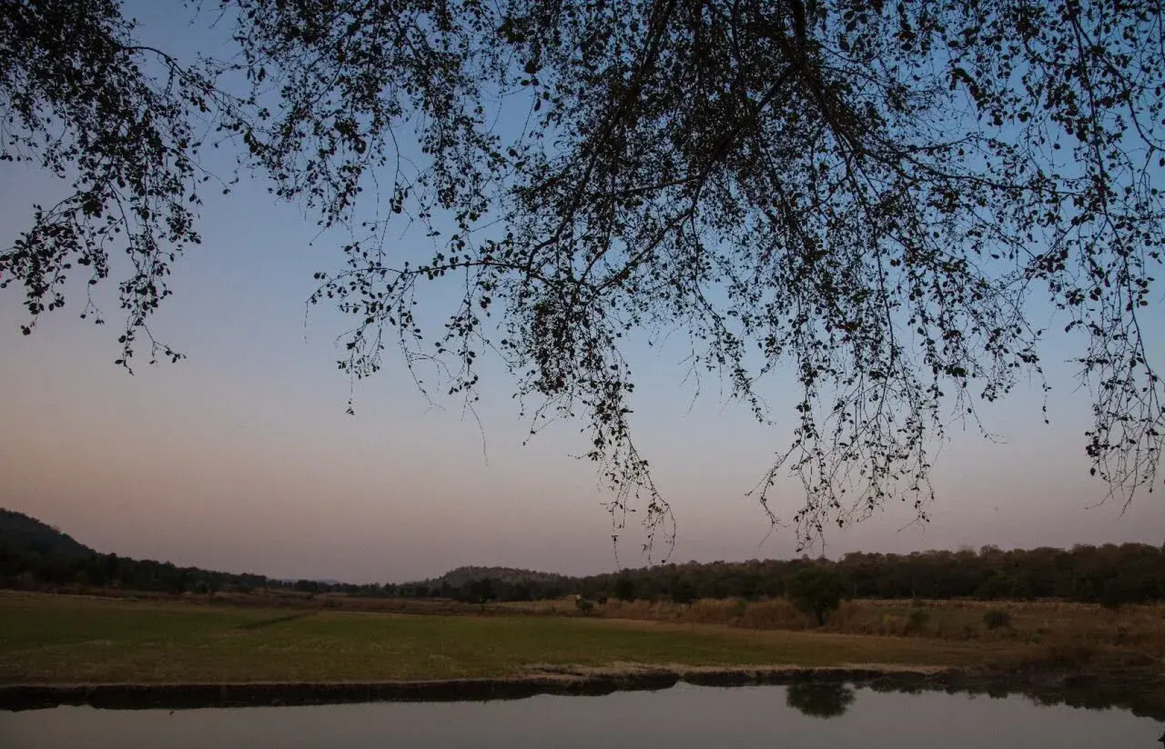 Padmavati Lake Resort